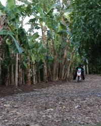 Голые девки на пляжной вечеринке 17 фотография Голые девки на пляжной вечеринке 17 фотография