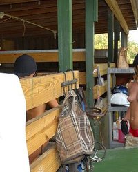 Голые наездницы совратили кучерявого конюха 24 фотография Голые наездницы совратили кучерявого конюха 24 фотография