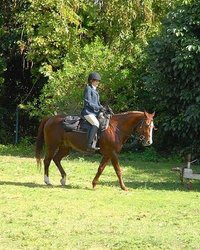 Голые наездницы совратили кучерявого конюха 15 фотография Голые наездницы совратили кучерявого конюха 15 фотография