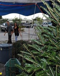 Микаэла повелась на бабло 21 фотография Микаэла повелась на бабло 21 фотография