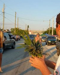 Трахнул девушку друга 1 фотография Трахнул девушку друга 1 фотография