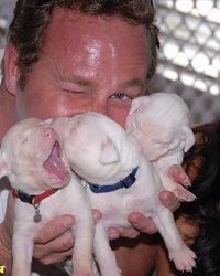 В попу тоже хорошо 2 фотография В попу тоже хорошо 2 фотография