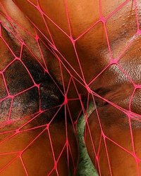 Чёрно-белая оргия 16 фотография Чёрно-белая оргия 16 фотография