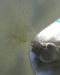 Секс под водой 11 фотография Секс под водой 11 фотография