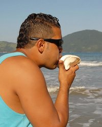 Секс на необитаемом острове 11 фотография Секс на необитаемом острове 11 фотография