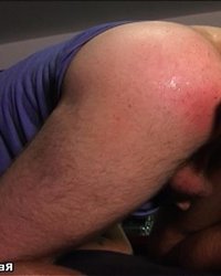 Праздник бикини 2 фотография Праздник бикини 2 фотография