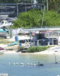 Блонда приняла член в анал и вульву 2 фотография Блонда приняла член в анал и вульву 2 фотография