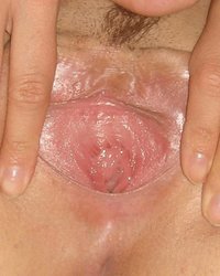 Розовые писюхи партнерш крупным планом 15 фотография Розовые писюхи партнерш крупным планом 15 фотография