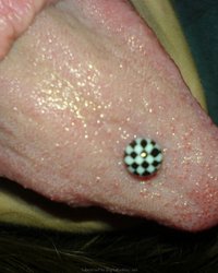 Парочка любовников фоткается на кровати 2 фотография Парочка любовников фоткается на кровати 2 фотография