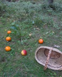 Красная шапочка готова отдаться любому лесорубу 8 фотография Красная шапочка готова отдаться любому лесорубу 8 фотография