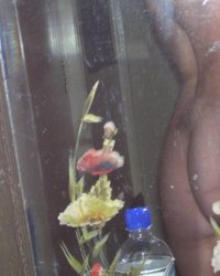 Стройная леди фотографирует себя без одежды 11 фотография Стройная леди фотографирует себя без одежды 11 фотография