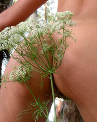 Алина на природе голая 8 фотография Алина на природе голая 8 фотография