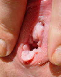 Розовая киска развратной стервы крупным планом 9 фотография Розовая киска развратной стервы крупным планом 9 фотография