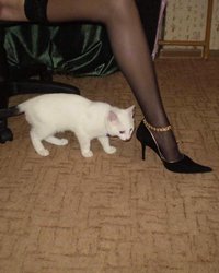 Марина дрочит свою манду на диване 7 фотография Марина дрочит свою манду на диване 7 фотография