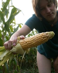 Девка засунула в себя кукурузу 21 фотография Девка засунула в себя кукурузу 21 фотография