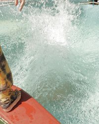 Напористый донжуан натянул баловницу около бассейна 3 фотография Напористый донжуан натянул баловницу около бассейна 3 фотография