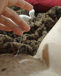 Девки, раздвинув ноги, показывают влажные пезды 13 фотография Девки, раздвинув ноги, показывают влажные пезды 13 фотография